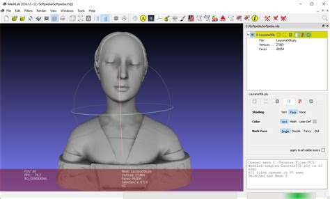 Select the Filters Menu > Cleaning and Repairing > Select Self Intersecting Faces. . Meshlab tutorial